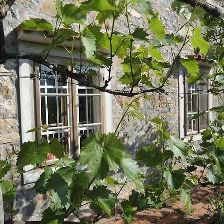 A Lovely House In Vipava Valley Exteriör bild