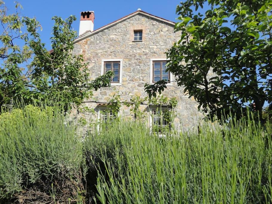A Lovely House In Vipava Valley Exteriör bild