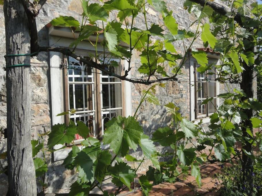 A Lovely House In Vipava Valley Exteriör bild