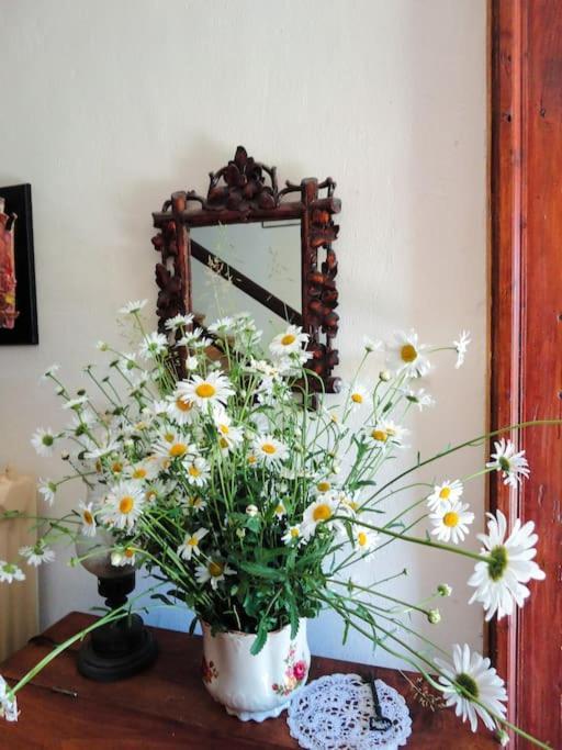 A Lovely House In Vipava Valley Exteriör bild